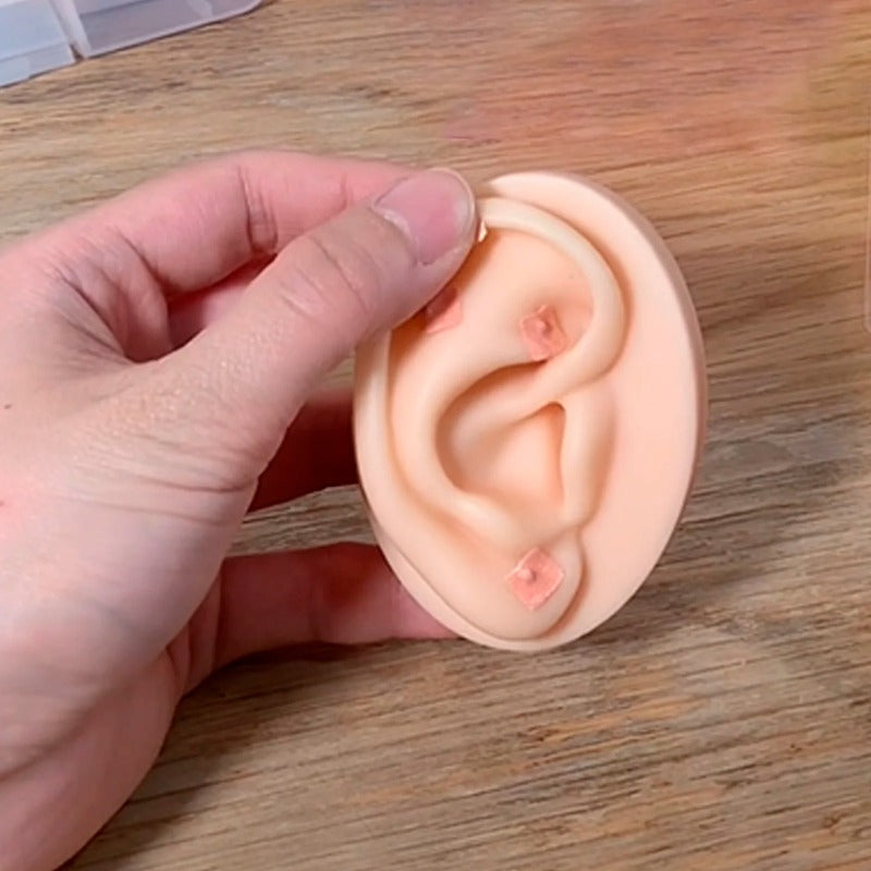 Ear Seeds 600PCS/Box