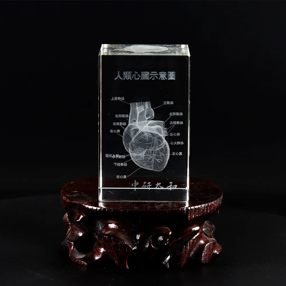 Organ Crystal Ornament