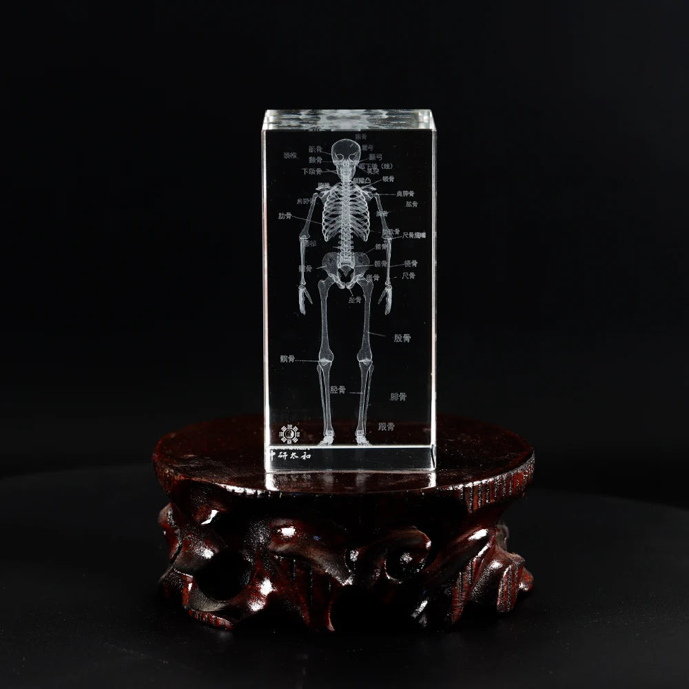 Organ Crystal Ornament