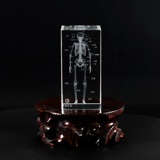 Organ Crystal Ornament