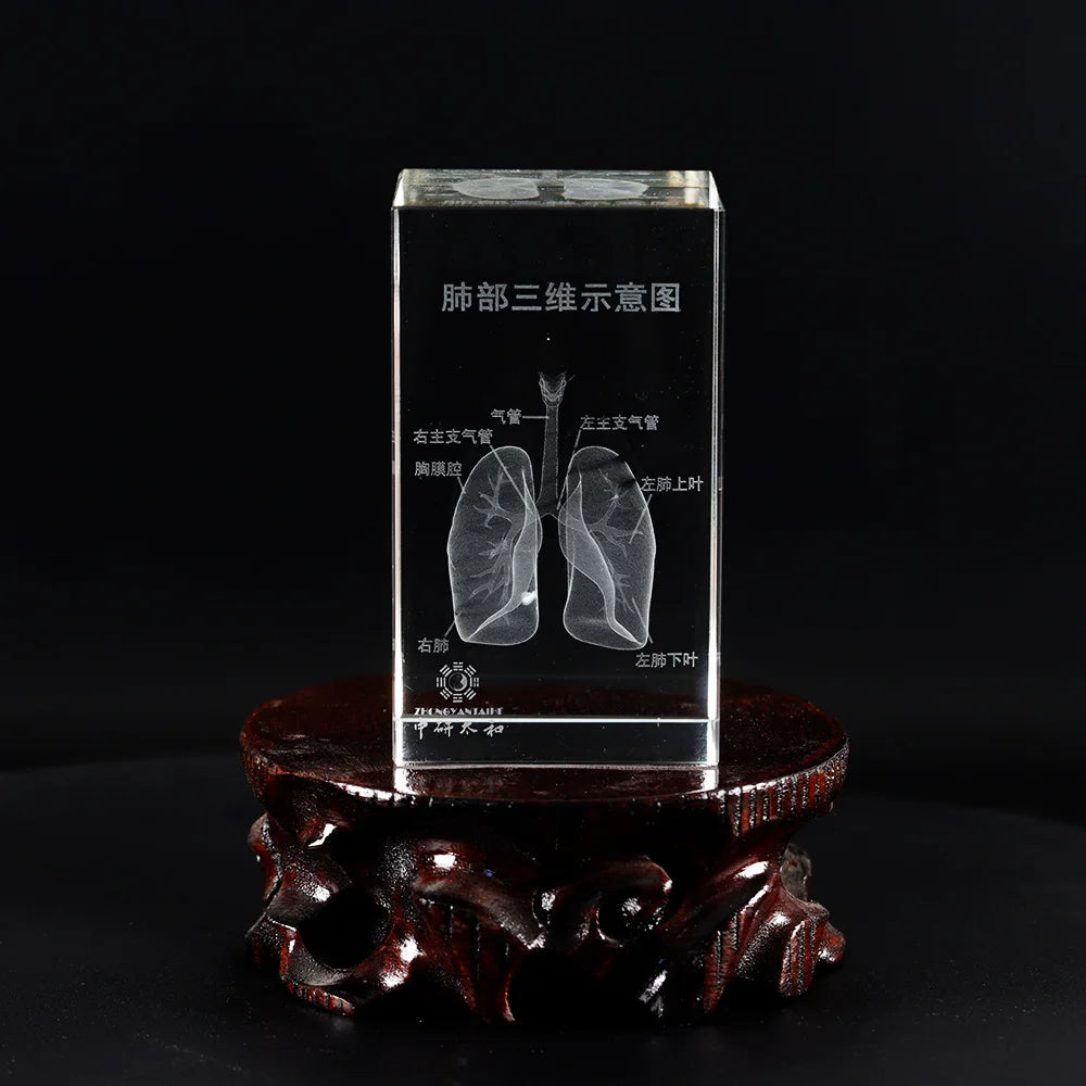 Organ Crystal Ornament