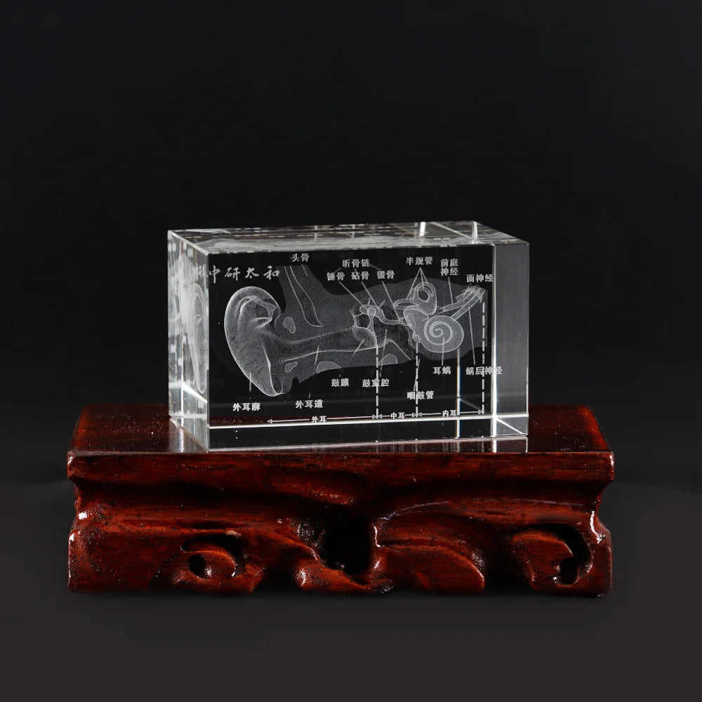 Organ Crystal Ornament