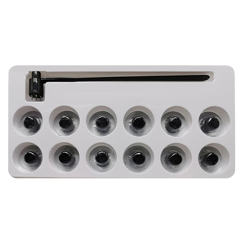 13 Head Dermal Needle