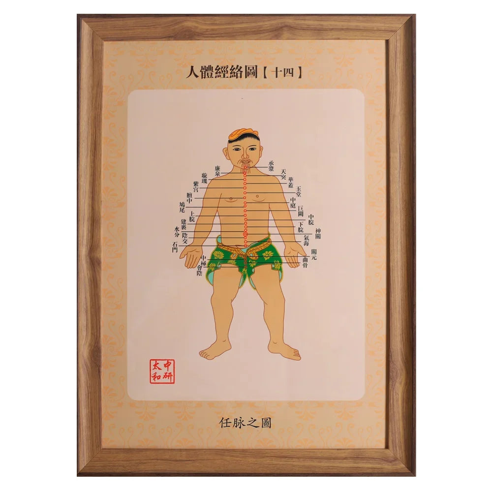 14 PCS Human Meridians 34.5 * 47Cm