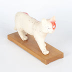 Cat Model Animal