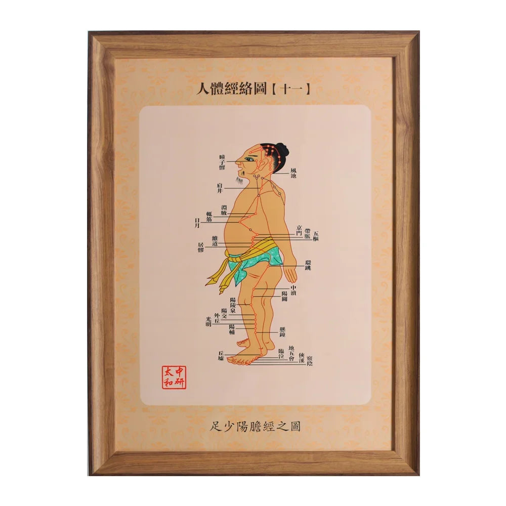 14 PCS Human Meridians 34.5 * 47Cm