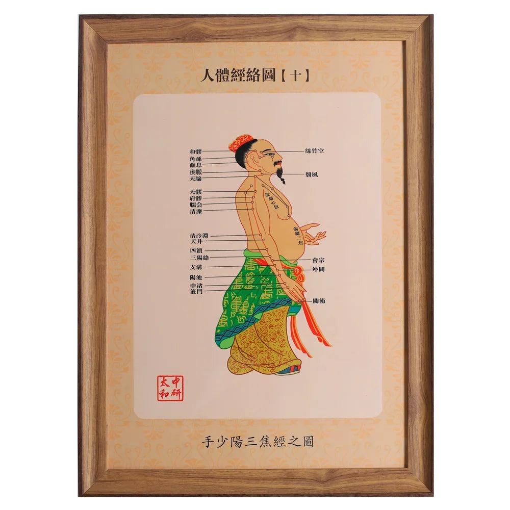 14 PCS Human Meridians 34.5 * 47Cm