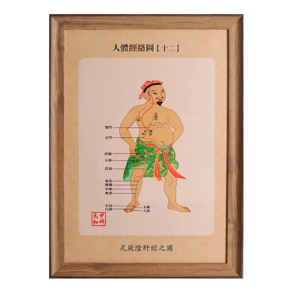 14 PCS Human Meridians 34.5 * 47Cm