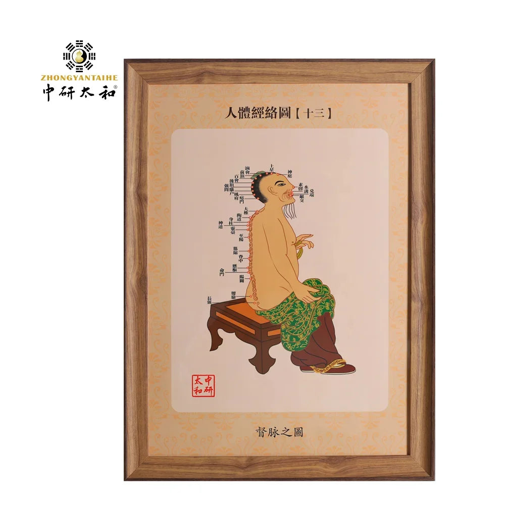 14 PCS Human Meridians 34.5 * 47Cm