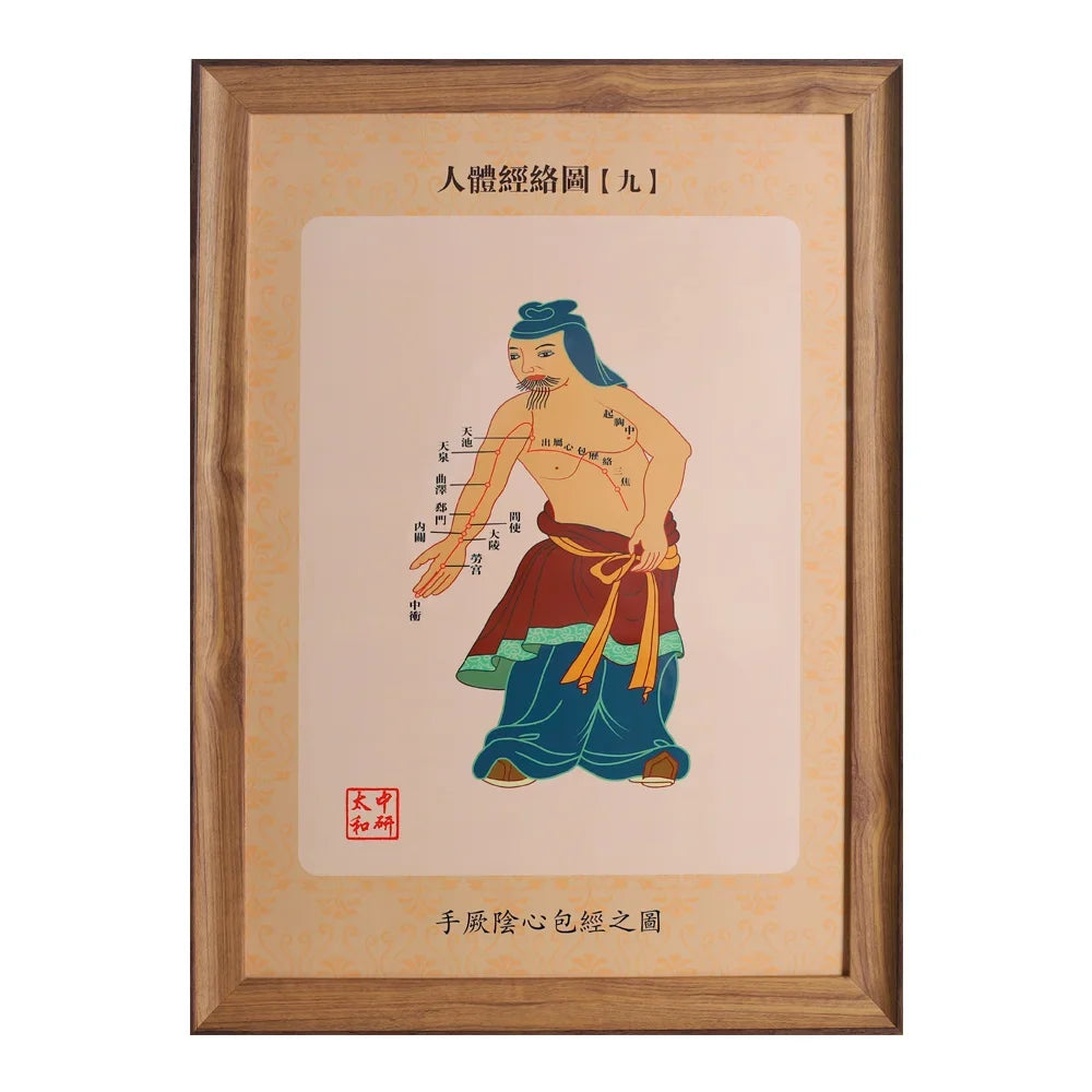 14 PCS Human Meridians 34.5 * 47Cm