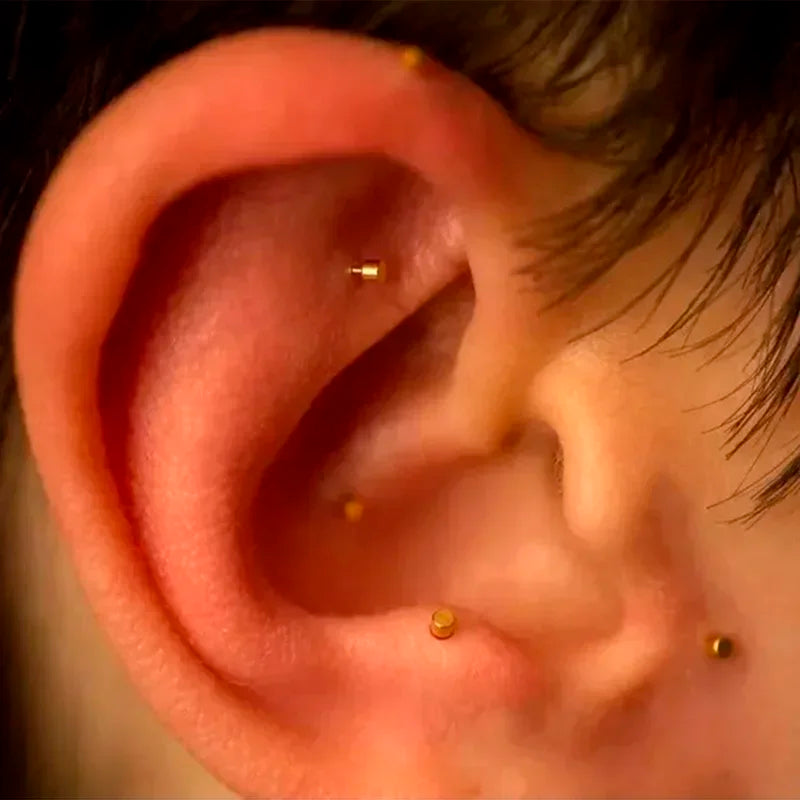 100pcs EAN Press Needle